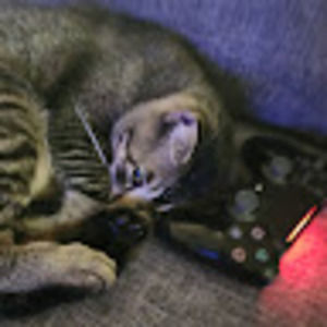 Meet your Posher, Aj